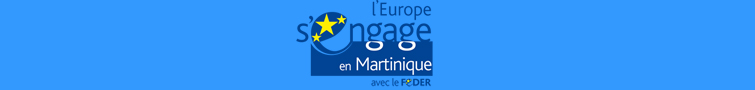 Europe FEDER Logo